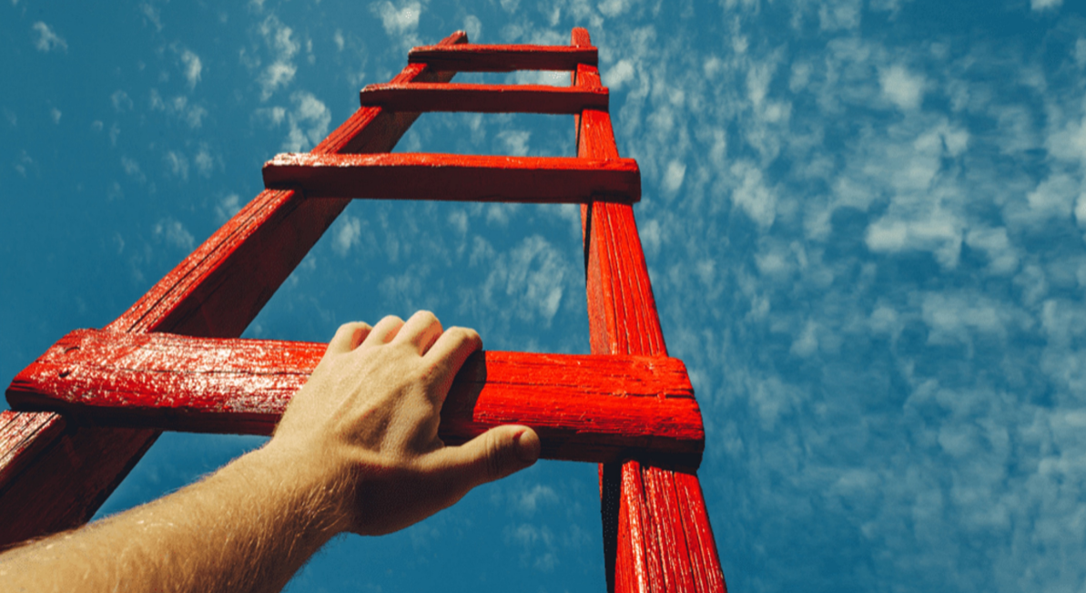 Hoe ons zenuwstelsel ons gedrag bepaalt