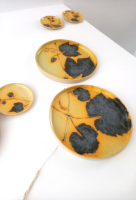 Suzanne van Straalen - Beeldend kunstenaar Harderwijk -  wijnstok &amp wijnrank - wandobject keramiek en wol