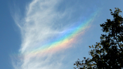 Natuur als inspiratie Natuur als inspiratie